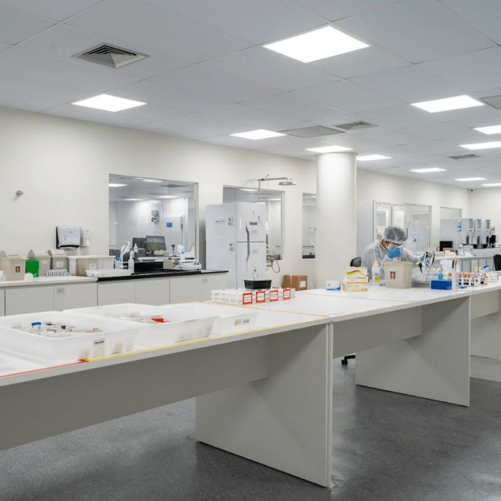 lab2
